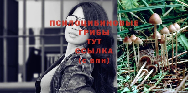 дживик Алзамай