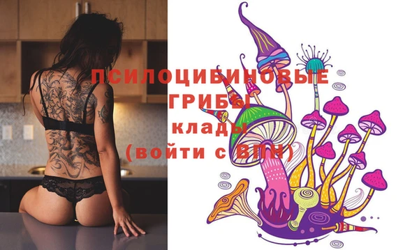 винт Алексин